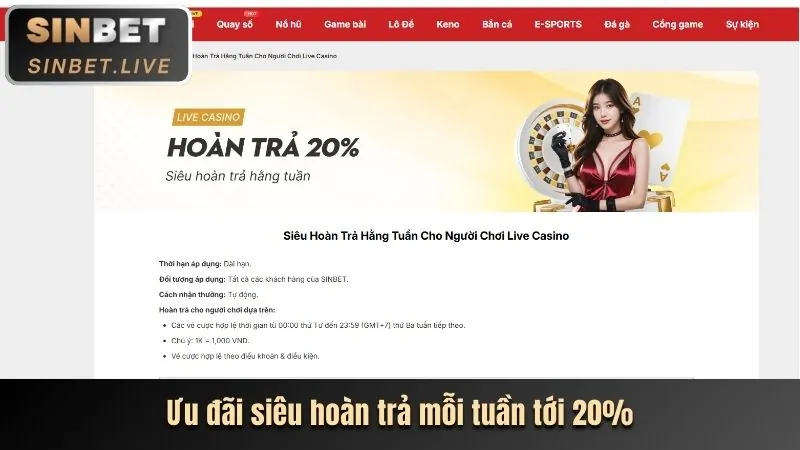 Thỏa thuận người dùng và quy định của lucky 88 hiện đang mở